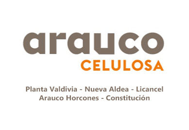 Arauco Valdivia